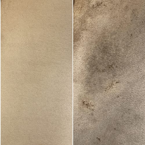 Czyszczenie dużego dywanu Wrocław ayclean – głębokie pranie i regeneracja