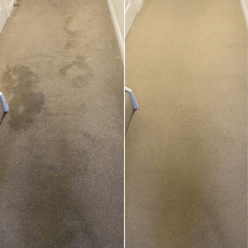 Czyszczenie dywanu Wrocław ayclean – odświeżenie włókien i eliminacja zapachów