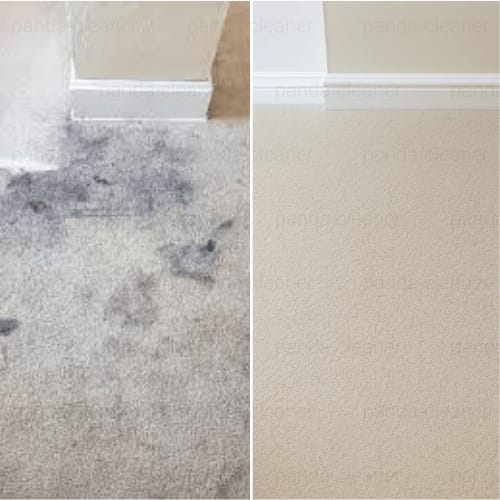 Pranie dywanów Wrocław ayclean – profesjonalne czyszczenie powierzchni