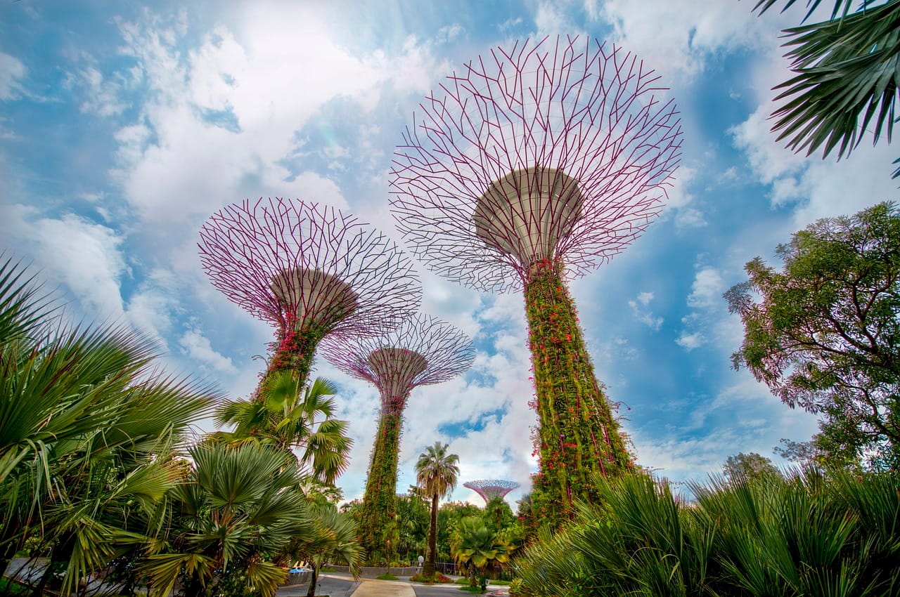 Rośliny do ogrodu wertykalnego przy małym świetle