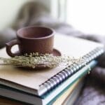 olgavolkovitskaia-books-8067850_1280